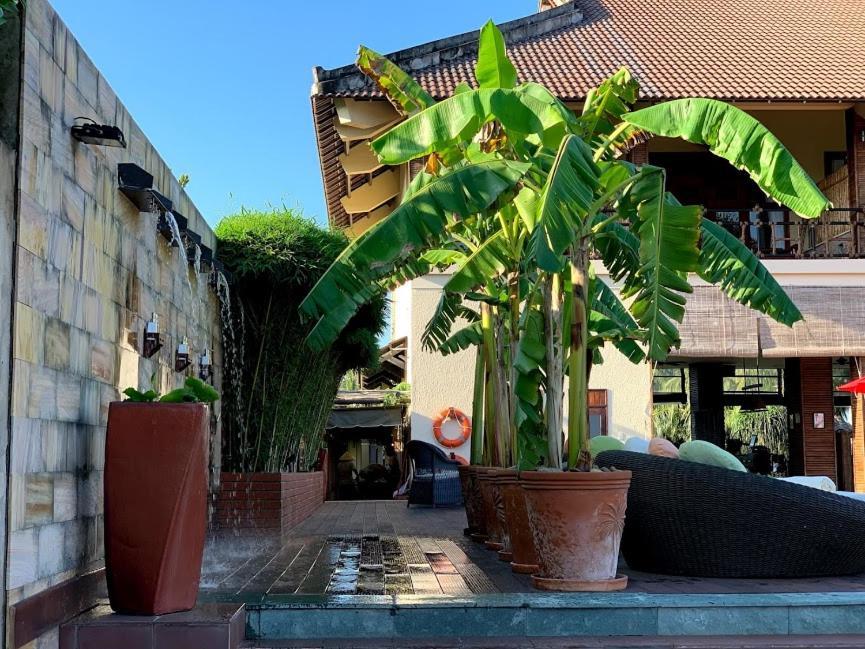 מי טאו The Island Lodge מראה חיצוני תמונה